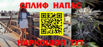 индика Донецк